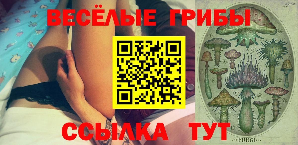 Псилоцибиновые грибы GOLDEN TEACHER  Вход с VPN  Новоуральск 